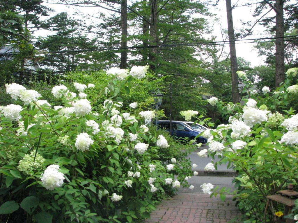 Hotel De Karuizawa Wald Bagian luar foto
